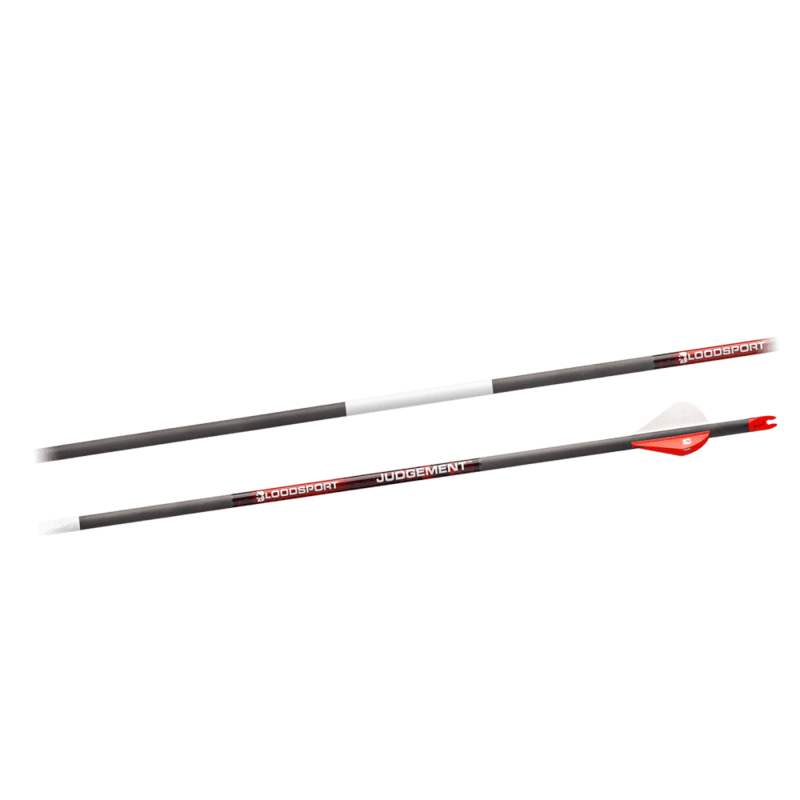 Bloodsport Judgement Arrows 500 .001 (6 pk)