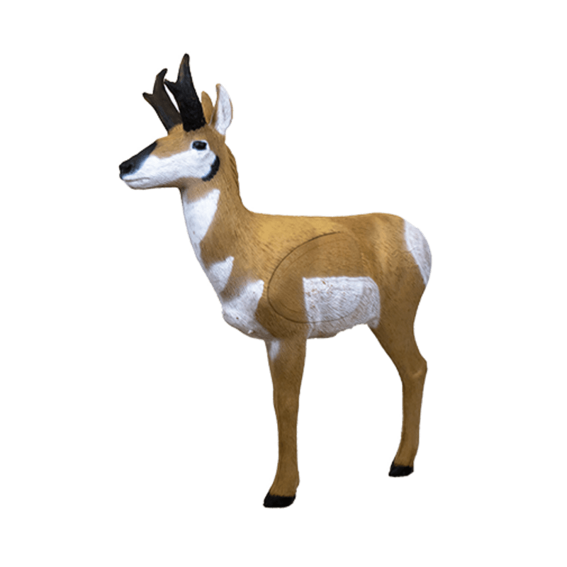Rinehart Signature  Antelope