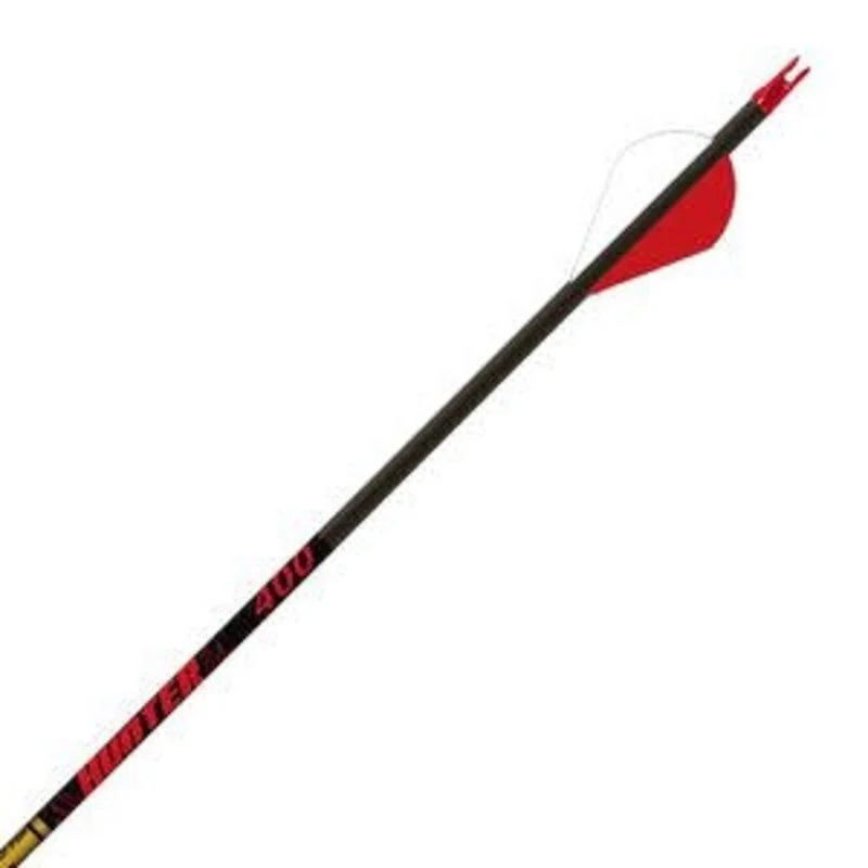 Gold Tip Hunter 300 ( 6 pk)