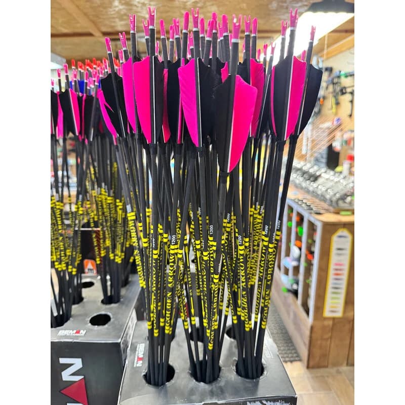 Golden Arrow Youth  Arrows  1200  spine (31") inc / point