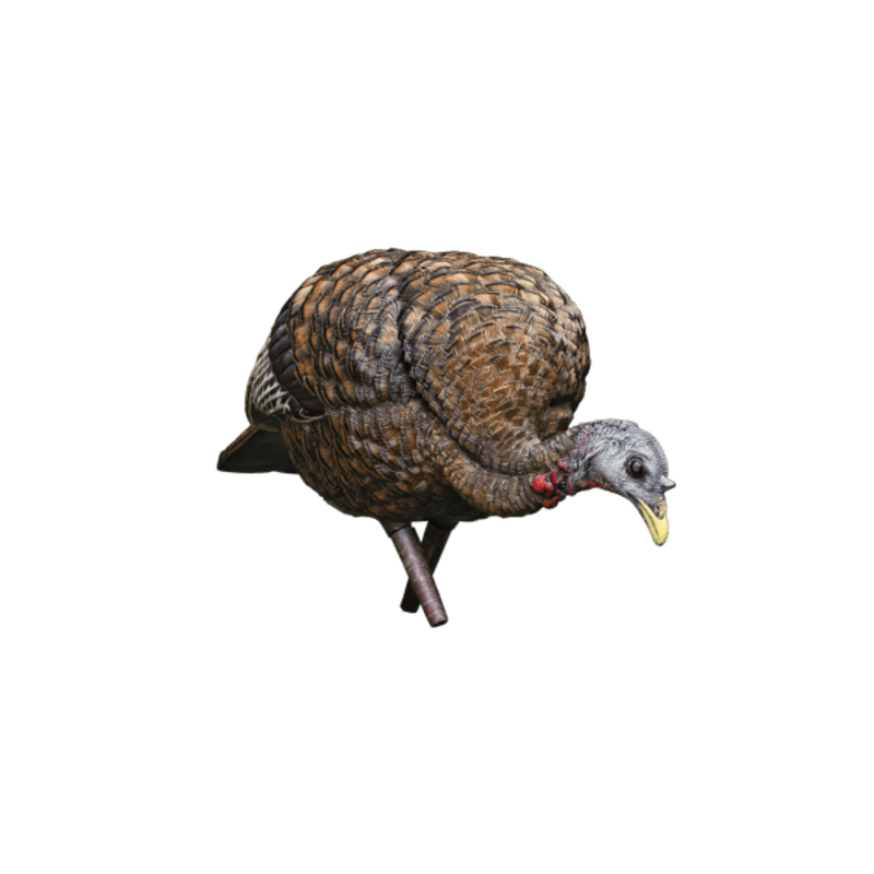 AvianX LCD Feeder Hen Turkey Decoy