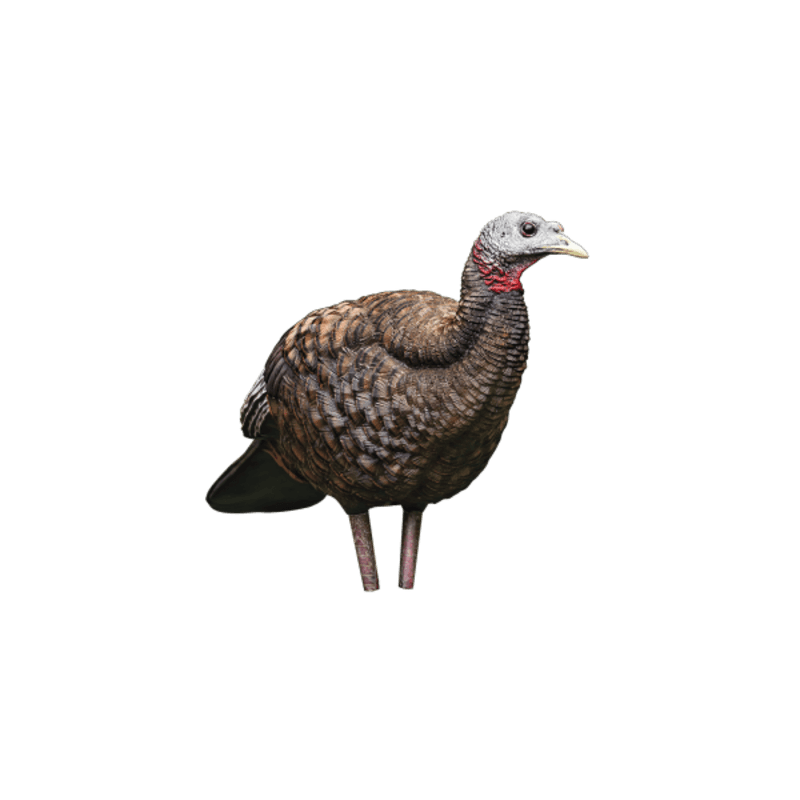 AvianX LCD Breeder Hen Turkey Decoy
