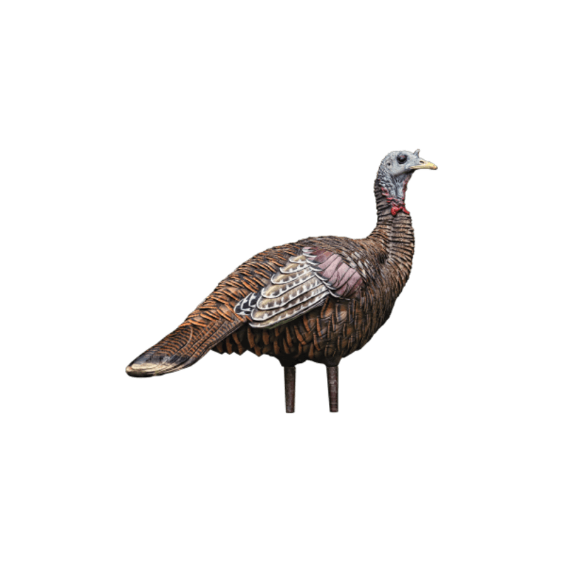 AvianX LCD Lookout Hen Turkey Decoy
