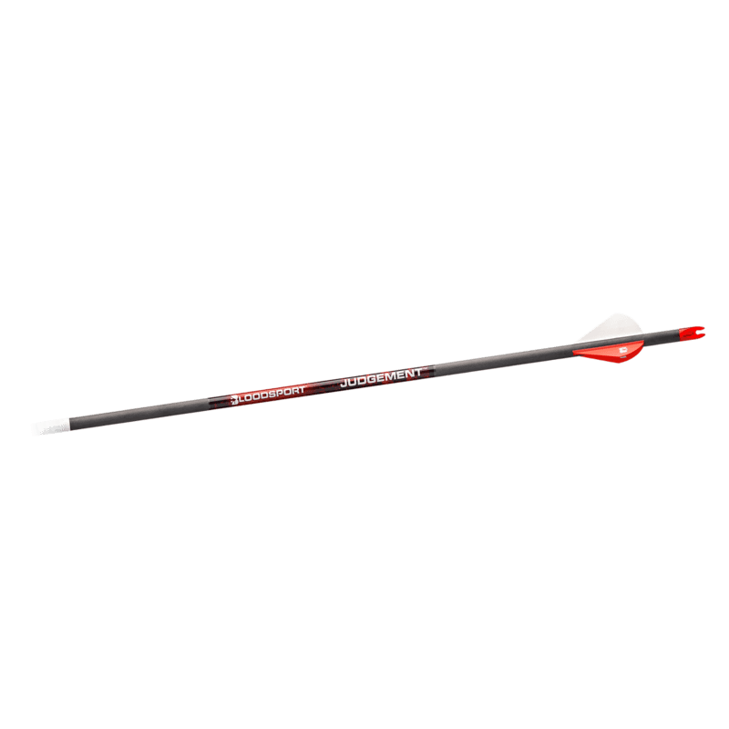 Bloodsport Judgement Arrows 350 .001 (6 pk)