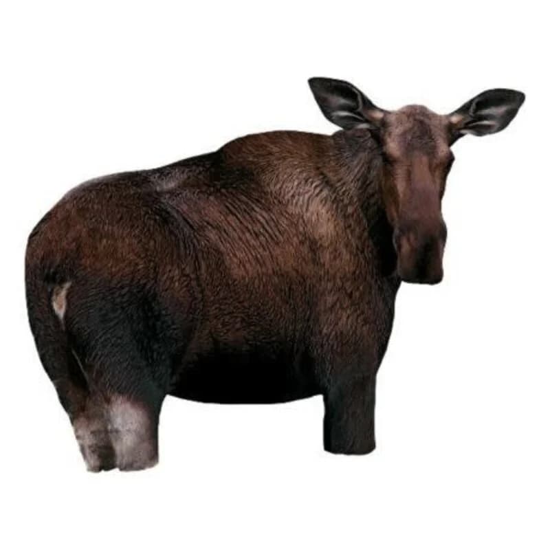 Montana Moose Decoy