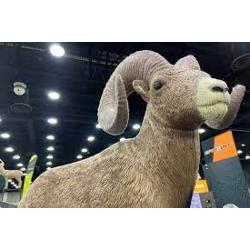 Rinehart IBO Big Horn Sheep Target